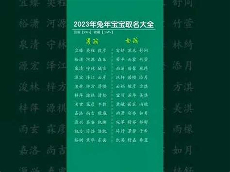 水兔寶寶|【2023水兔寶寶】2023水兔寶寶報到！解密兔年生子的神秘面紗